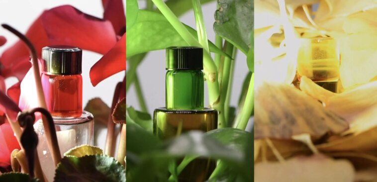 Des scientifiques créent un matériau d'invisibilité caméléon sans électricité ! 1 Des Scientifiques Créent Un Matériau D'invisibilité Caméléon Sans électricité !