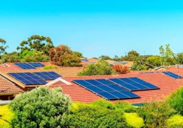 L'australie Face à Un Excès D'énergie Solaire, La Croissance Des