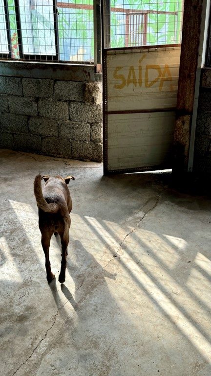 Voyage, bénévolat et iPhone : quand un smartphone révolutionne la photographie au Cap-Vert 3 Neues Smartphone Saida