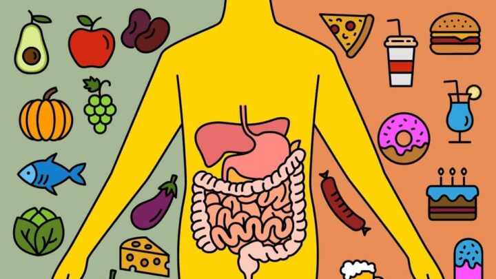 Une étude relie l'augmentation des cancers de l'intestin à ces habitudes alimentaires ! 5 1733833375 242 Une etude relie laugmentation des cancers de lintestin a ces