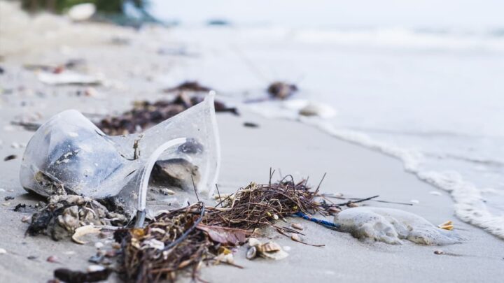 Le Japon a développé un plastique qui se dissout dans l'eau de mer et lutte contre la pollution par les microplastiques 4 Copo de plástico na praia
