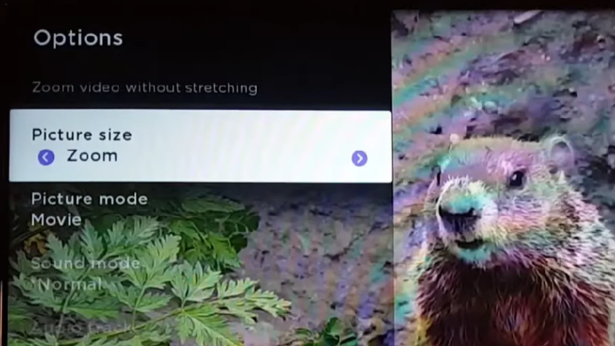 Comment agrandir l'écran de votre TV TCL pour une expérience immersive 3 1734218981 904 Comment agrandir lecran de votre TV TCL pour une