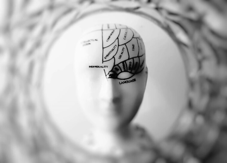 Une étude de Caltech révèle que la pensée humaine avance à 10 bits par seconde 1 Une étude De Caltech Révèle Que La Pensée Humaine Avance