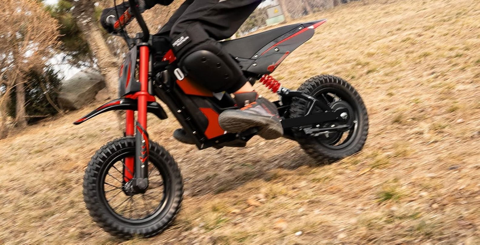 Cette moto électrique pour enfant a un moteur de 300W ! 3 EVERCROSS EV12M terrain