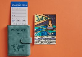 Les Passeports Pourraient Bientôt Disparaître Au Profit De La Reconnaissance