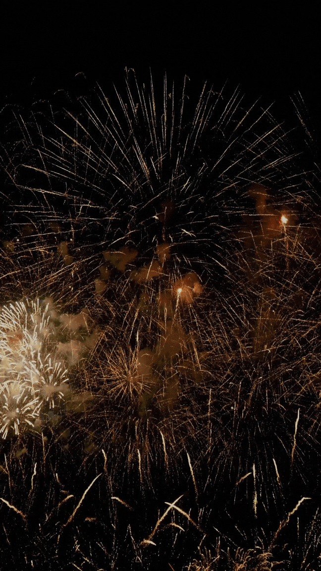 Bonne année 2025 Gif