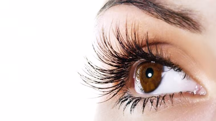 À quoi servent les cils ? Une nouvelle étude révèle leur fonction essentielle le long des paupières 1 Le ciglia non servono semplicemente a proteggere gli occhi dalla polvere o a filtrare l’aria, ma respingono anche l'acqua in ingresso, preservando una visione nitida / Photo iStock