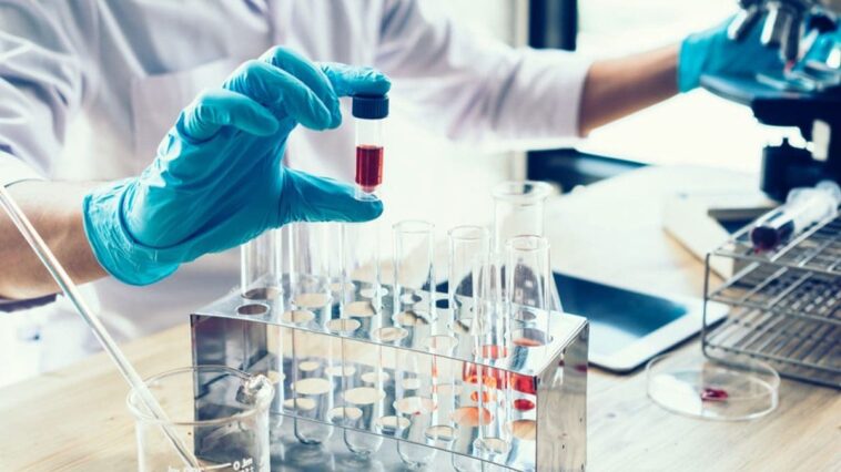 Analyse sanguine et cancer du sein : découvrez comment le nouveau test détecte la maladie avant la biopsie liquide 1 Un nuovo esame del sangue che combina l'analisi laser con un tipo di intelligenza artificiale è il primo del suo genere a identificare il tumore al seno nelle fasi iniziali / Photo iStock