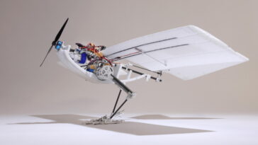 Ce drone inspiré des oiseaux est plus économe en énergie et excelle dans les manœuvres complexes 17 Ce Drone Inspiré Des Oiseaux Est Plus économe En énergie