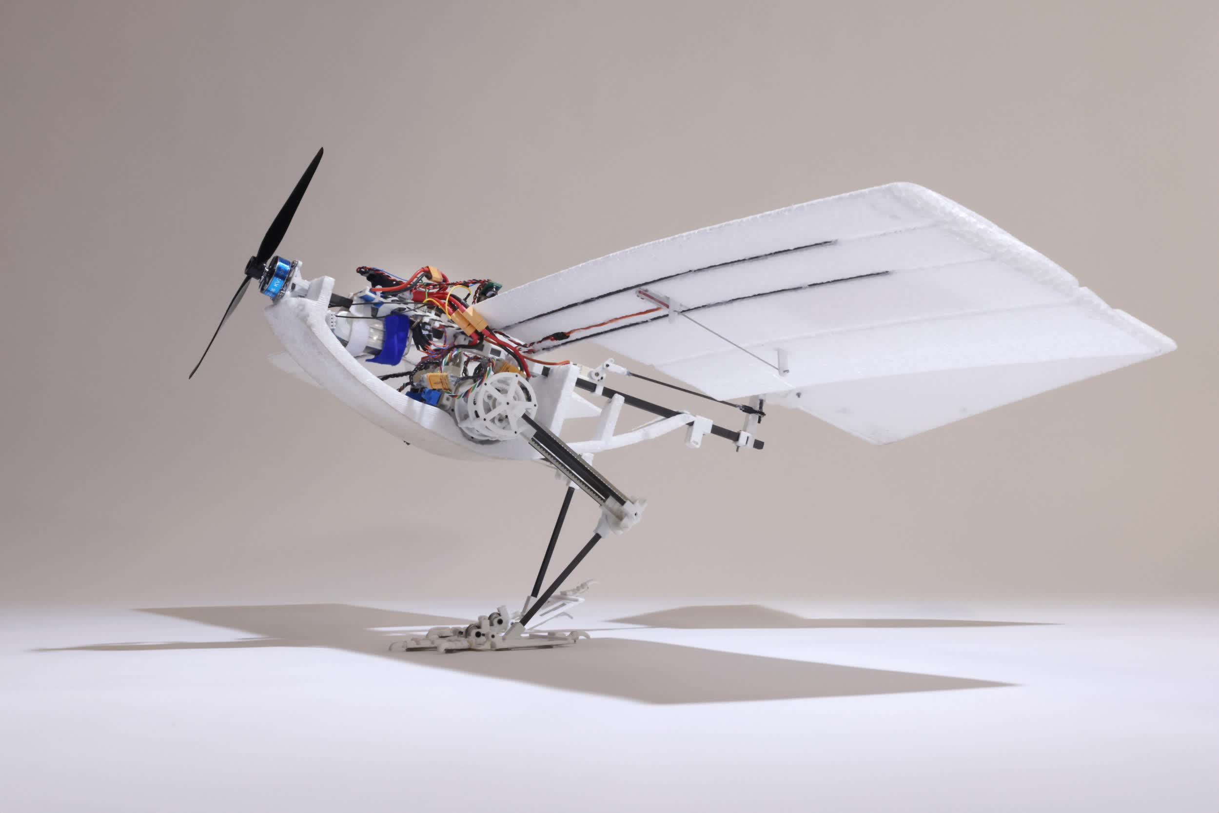 Ce Drone Inspiré Des Oiseaux Est Plus économe En énergie