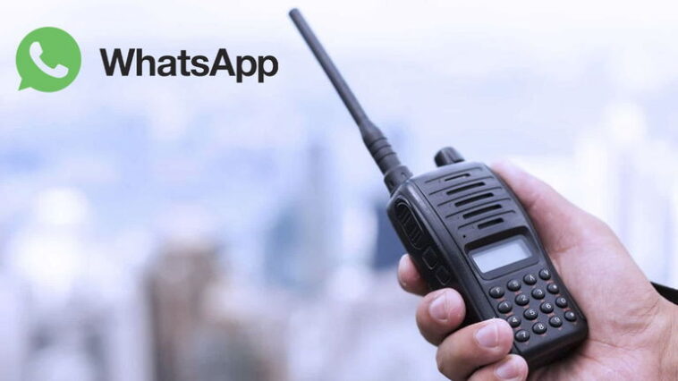 Comment activer le mode talkie-walkie sur WhatsApp 1 Comment activer le mode talkie-walkie sur WhatsApp