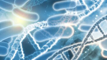 Découverte du point faible des bactéries résistantes aux antibiotiques : comment l'exploiter pour les éliminer 16 Image
