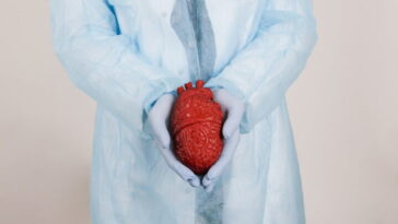 Des patients transplantés croient avoir hérité des souvenirs de l'organe qu'ils ont reçu 23 Pacientes de transplante acreditam ter herdado as memórias do órgão que receberam