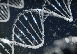 Éditer tes gènes est déjà une réalité qui propose de révolutionner le monde, mais elle a un grand inconvénient : c'est très cher 79 Editar tus genes ya es una realidad que propone revolucionar el mundo, pero tiene una gran desventaja: es muy caro