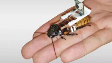 Ils créent une armée de cucarachas cyborg et chaque minute augmente