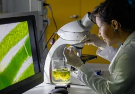 Japão: cientistas desenvolvem tecnologia para transformar luz solar e água em hidrogénio