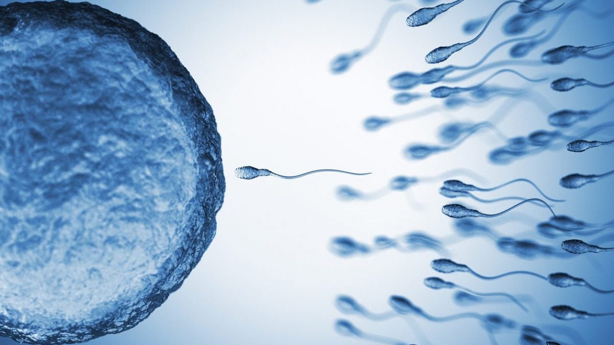 Un homme qui craint la trahison de sa partenaire produit plus de spermatozoïdes : comment est-ce possible et pourquoi ? 2 Immagine