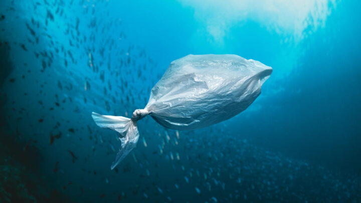 Le Japon a développé un plastique qui se dissout dans l'eau de mer et lutte contre la pollution par les microplastiques 2 Saco de plástico no oceano