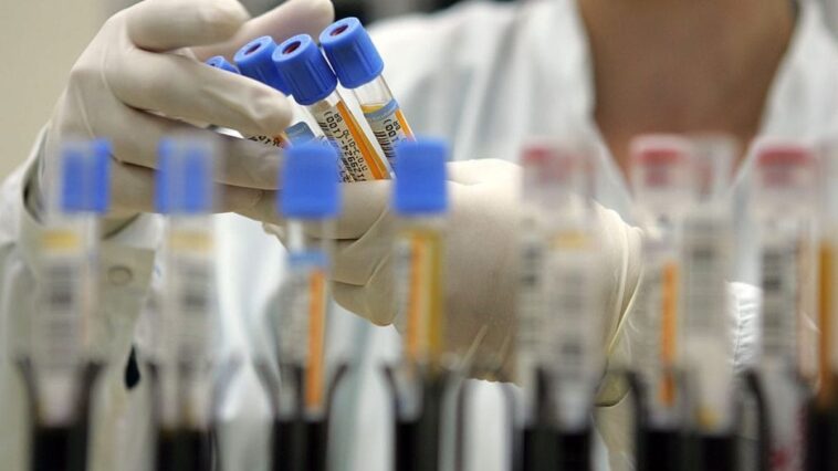Le virus de la grippe aviaire n'attend qu'une seule mutation pour se transmettre d'une personne à l'autre 1 Une seule mutation dans l'hémagglutinine du virus de l'influenza aviaire peut rendre le pathogène transmissible d'homme à homme / Photo Getty