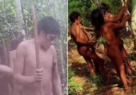 Les photos époustouflantes des Massaco, l'une des tribus jamais en contact avec notre civilisation 67 Image