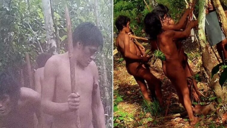 Les photos époustouflantes des Massaco, l'une des tribus jamais en contact avec notre civilisation 1 Image