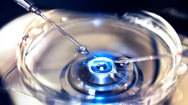 Naît le premier bébé conçu grâce à une technologie de fertilité révolutionnaire 2 Fécondation in Vitro