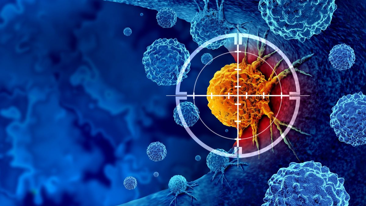 Nous avons enfin découvert pourquoi le risque de cancer diminue en vieillissant : le rôle d'une protéine cruciale 5 Immagine