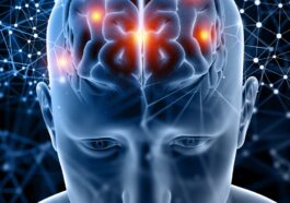 Une vie sociale active peut retarder la démence de plusieurs années, selon une étude : "Renforce les connexions neurales" 47 Image