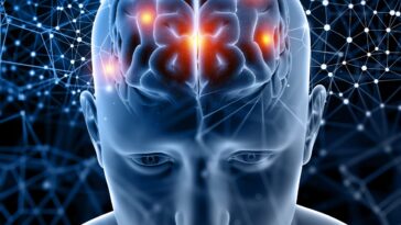 Une vie sociale active peut retarder la démence de plusieurs années, selon une étude : "Renforce les connexions neurales" 5 Image