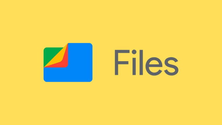 Posez toutes vos questions à Files sur vos PDF : Gemini débarque dans l'application 1 Posez vos questions à Files sur vos PDF : Gemini débarque dans l'application