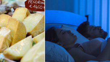 Manger régulièrement du fromage pourrait réduire les probabilités de ronfler, atténuant le risque de développer des apnées nocturnes / Photo iStock