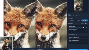 Topaz Photo AI 3.4 : améliorez votre reconnaissance de texte et votre mise au point super ! 19 Topaz Photo Ai