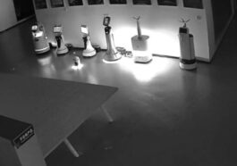 Un groupe de robots a-t-il vraiment décidé de faire grève ? La vidéo qui révèle l'incohérence incroyable