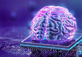 Un microcip, grande quanto un francobollo, peut accélérer lo sviluppo di una cura efficace per l'Alzheimer, simulando lo funzionamento della barriera ematoencefalica, la membrana che protegge il cervello / Photo iStock