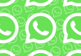 WhatsApp : bientôt, partager sera beaucoup plus simple, même avec d'autres réseaux sociaux