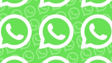 WhatsApp : bientôt, partager sera beaucoup plus simple, même avec d'autres réseaux sociaux 23 WhatsApp : bientôt, partager sera beaucoup plus simple, même avec d'autres réseaux sociaux