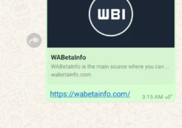 WhatsApp dévoile deux nouvelles fonctionnalités pour devenir l'offre incontournable des messages