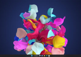 Microsoft Propose Des Designs De Fonds D'écran Dynamiques Pour Windows