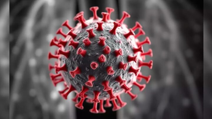 HMPV : une épidémie respiratoire qui déborde les hôpitaux en Chine 3 HMPV: épidémie respiratoire qui remplit les hôpitaux en Chine