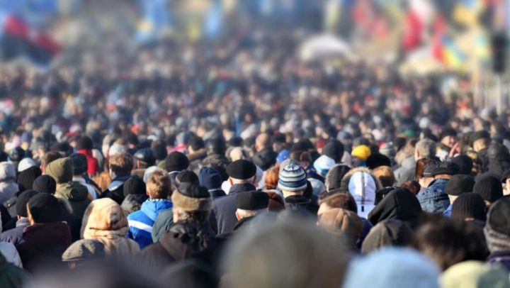 "Cerveau des mers" : cet animal pourrait remplacer les humains comme espèce dominante sur Terre 4 Aglomerado de pessoas