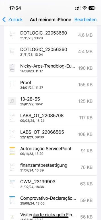 Mémoire iPhone saturée - voici les fichiers à supprimer absolument 5 Espace de stockage des fichiers iPhone