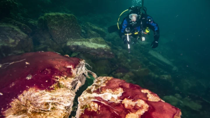 La rotation de la Terre ralentit et pourrait expliquer pourquoi nous avons moins d'oxygène 3 1736635026 951 La rotation de la Terre ralentit et pourrait expliquer pourquoi.webp