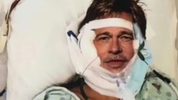 Un escroc utilise l'IA pour se faire passer pour Brad Pitt et extorquer 850 000 € à une femme 30 Un Escroc Utilise L'ia Pour Se Faire Passer Pour Brad