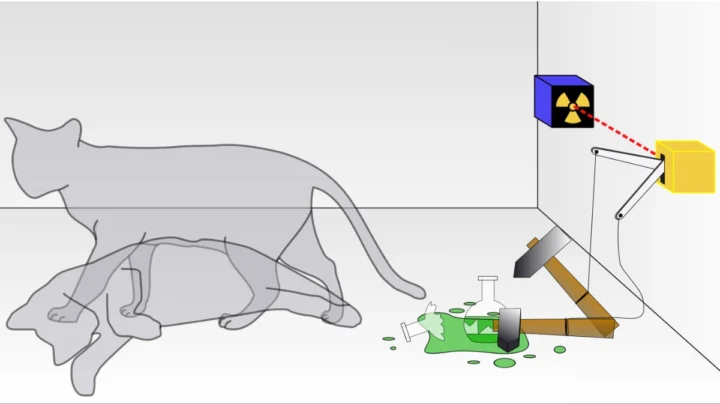 1737050278 223 Le Chat de Schrodinger est a la fois vivant et.webp