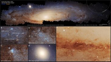 Le plus grand panorama de Hubble révèle 200 millions d'étoiles de la galaxie d'Andromède 23 Le Plus Grand Panorama De Hubble Révèle 200 Millions D'étoiles