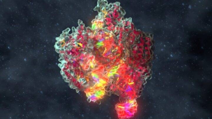 Le Son le Plus Magnifique : des patients écoutent le bruit des cellules cancéreuses se faisant détruire 3 1738193795 275 Le Son le Plus Magnifique des patients ecoutent le