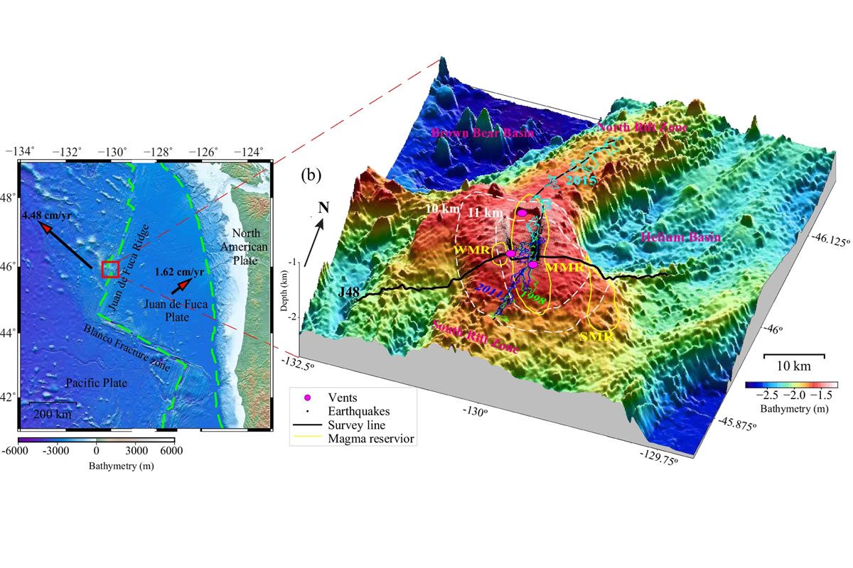 Le volcan Axial Seamount se trouve à environ 500 kilomètres de la côte de l'Oregon : à gauche, les principales plaques tectoniques et leurs frontières (lignes pointillées vertes) près de la dorsale Juan de Fuca ; à droite, Vue 3D de la bathymétrie de la zone de l'Axial Seamount / Crédit : Nature 2024