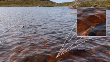 Au Groenland, les lacs passent du cristal au marron en moins d'un an : que se passe-t-il ? 6 Uno dei laghi della Groenlandia occidentale, nei pressi di Kangerlussuaq, diventato marrone a causa degli eventi estremi dovuti ai cambiamenti climatici / Credit: Università del Maine