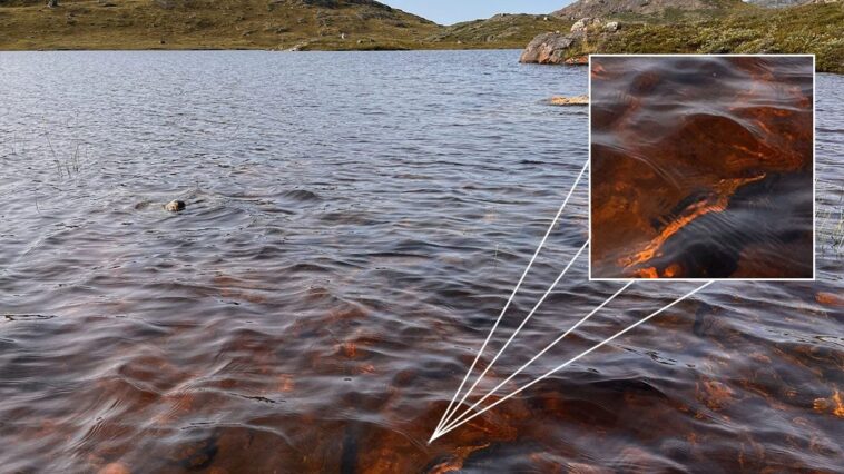 Au Groenland, les lacs passent du cristal au marron en moins d'un an : que se passe-t-il ? 1 Uno dei laghi della Groenlandia occidentale, nei pressi di Kangerlussuaq, diventato marrone a causa degli eventi estremi dovuti ai cambiamenti climatici / Credit: Università del Maine