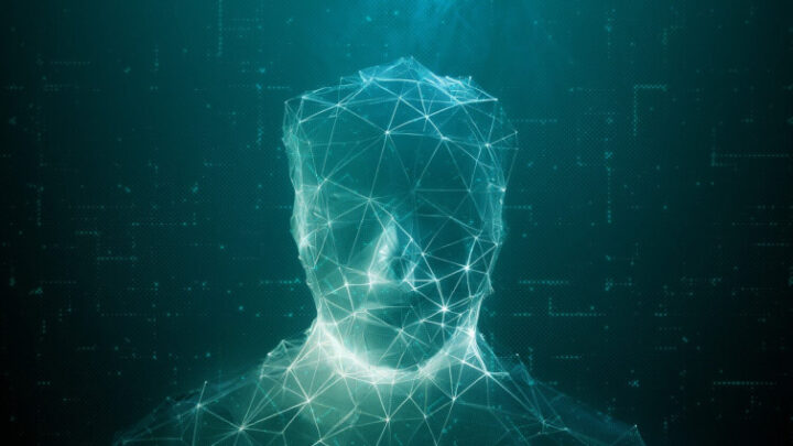 "Cerveau des mers" : cet animal pourrait remplacer les humains comme espèce dominante sur Terre 3 Cerveau des mers cet animal pourrait remplacer les humains